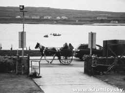 irland019