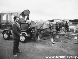 irland049