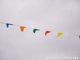 irland057
