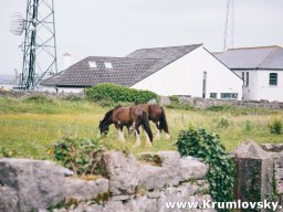 irland059