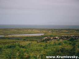 irland061