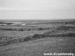 irland062
