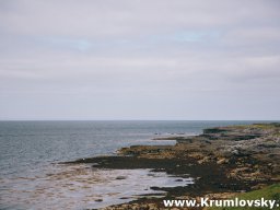 irland065