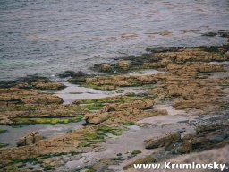 irland066