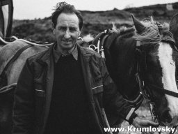 irland067