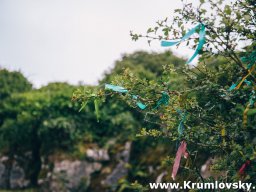 irland095
